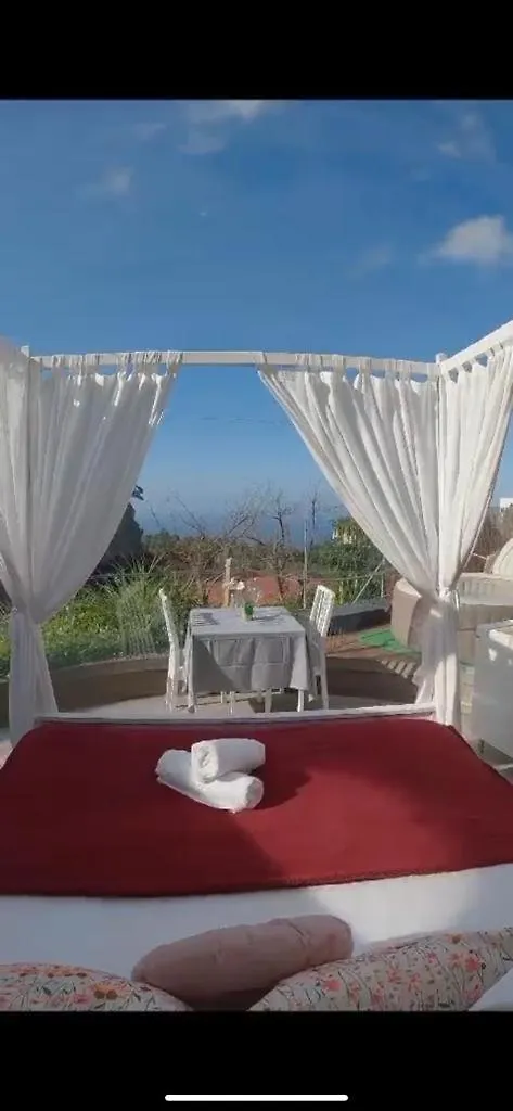 Finca Esferas La Guancha Apartment
